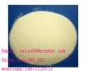 Xinyang Alkali  S K Y P E: Sales05_267 